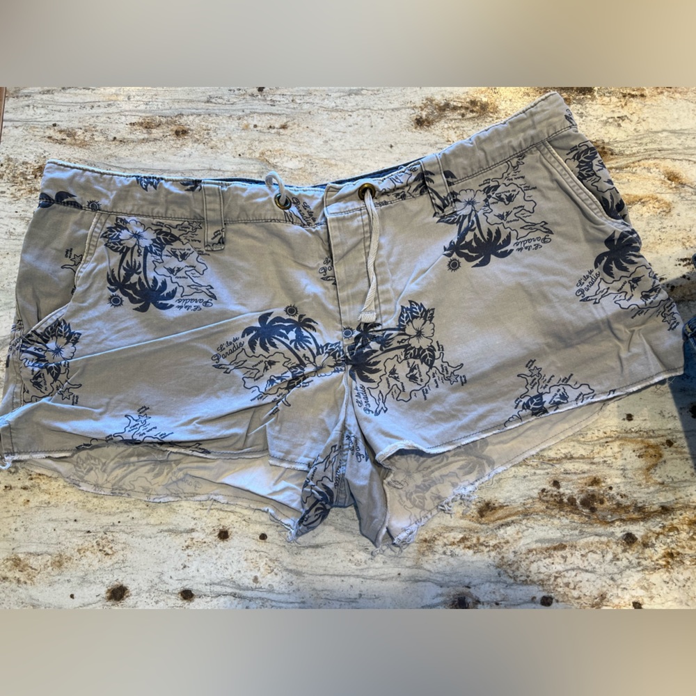American Eagle Chambray and blue button fly shorts low rise distressed Vintage